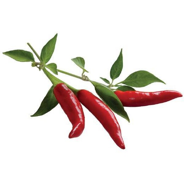 Click-and-Grow-chilli-papricky-kapsle-se-seminky-a-substratem-3ks