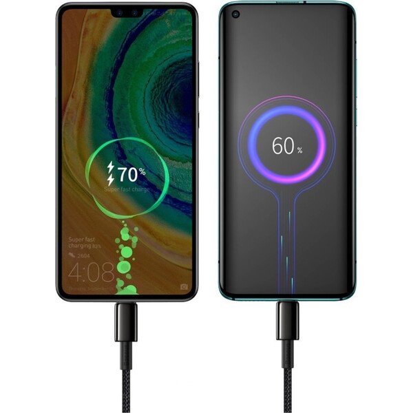 Baseus-Tungsten-Gold-USB-C-USB-C-napajeci-kabel-100W-2m-cerny