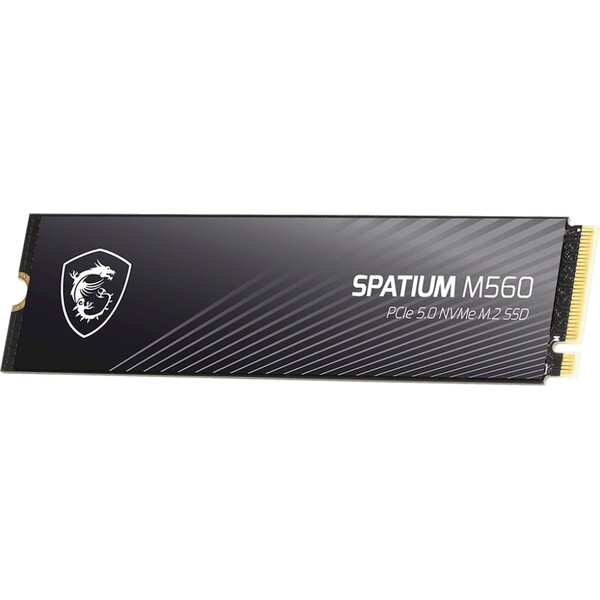MSI-SPATIUM-M560-PCIe-5-0-NVMe-M-2-2TB