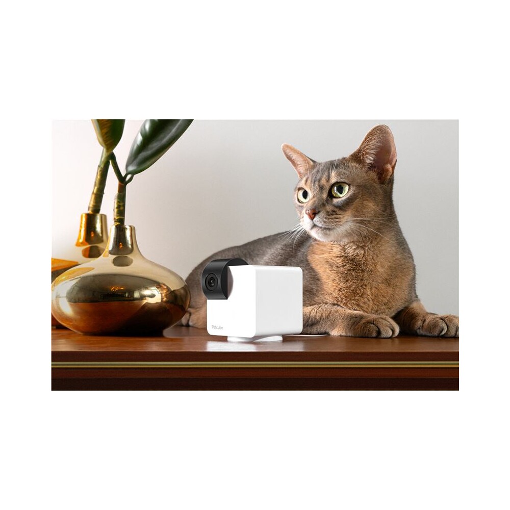 Petcube-Cam-360-bila-bezpecnostni-kamera-pro-domaci-mazlicky