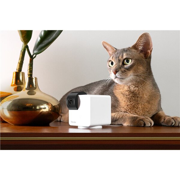 Petcube-Cam-360-bila-bezpecnostni-kamera-pro-domaci-mazlicky