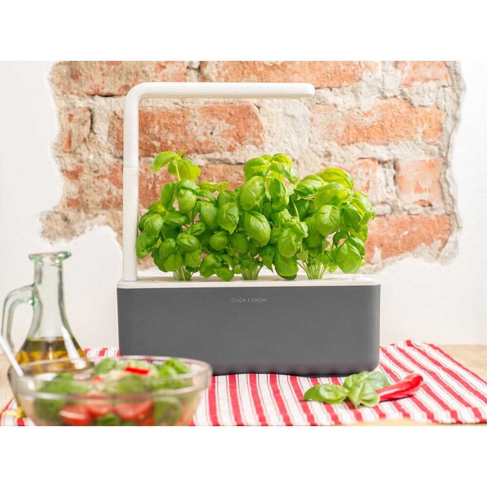 Click-and-Grow-Smart-Garden-3-chytry-kvetinac-3ks-kapsli-se-seminky-bazalky-sedy