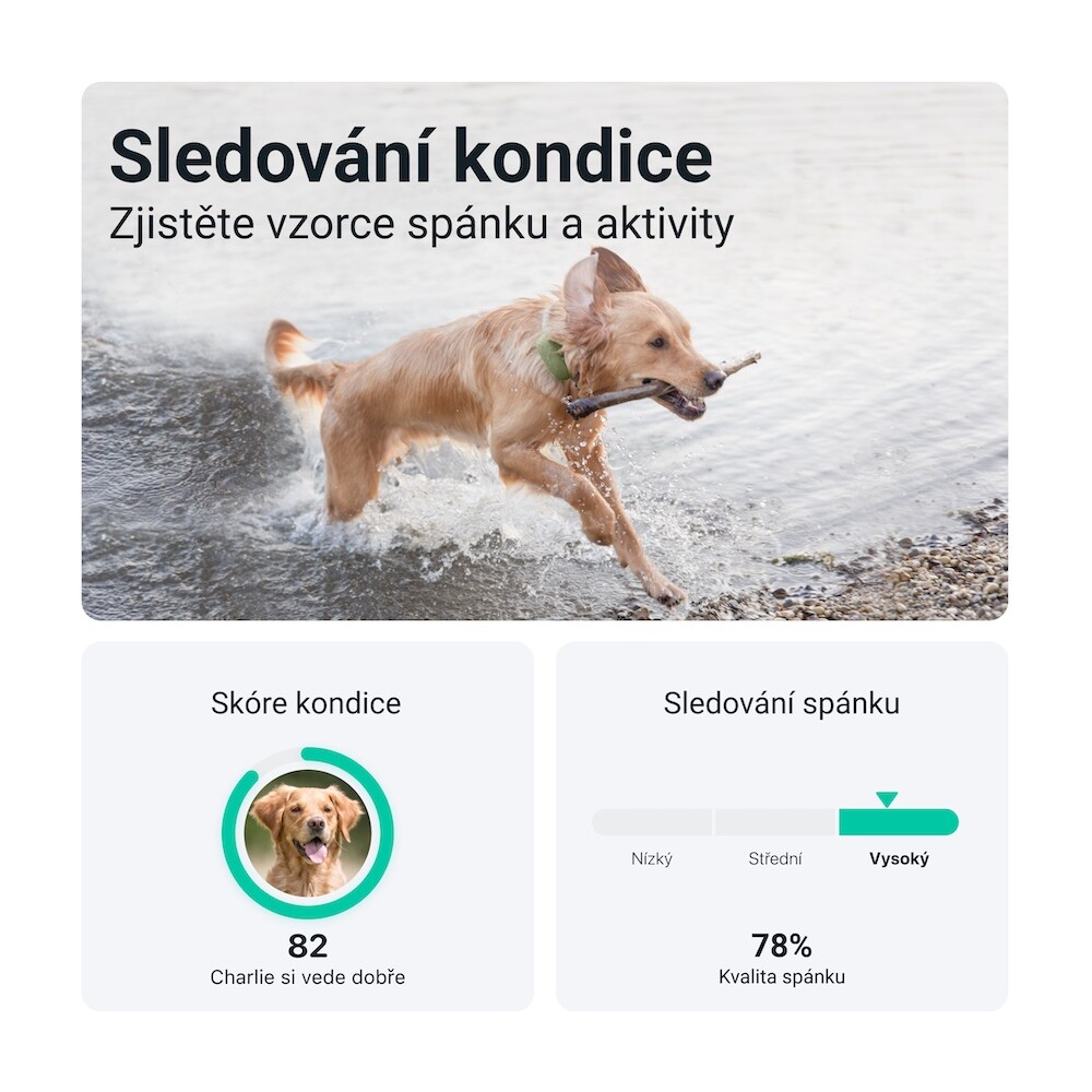 Tractive-GPS-DOG-XL-tracker-polohy-a-aktivity-pro-psy-zeleny