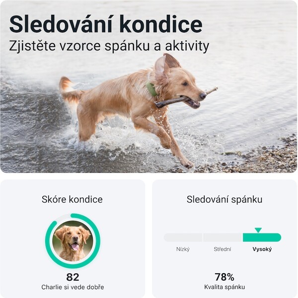 Tractive-GPS-DOG-XL-tracker-polohy-a-aktivity-pro-psy-zeleny