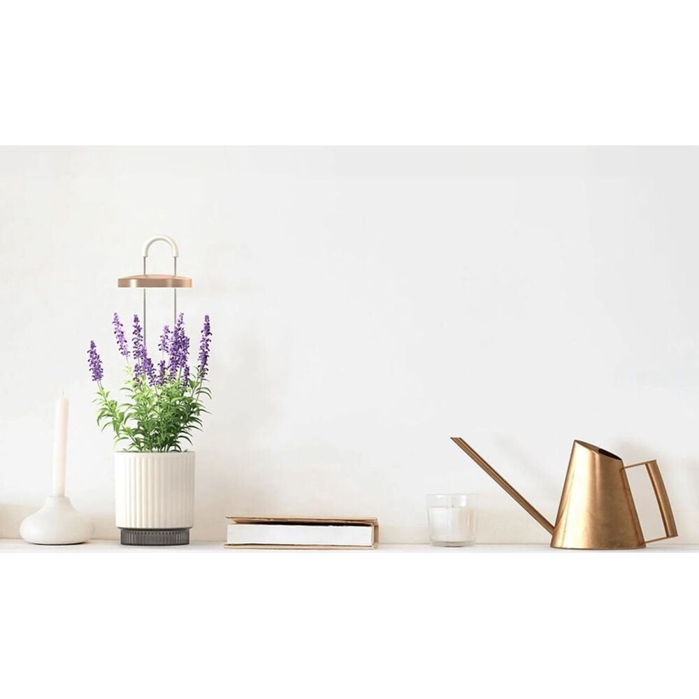 Click-and-Grow-Smart-Garden-1-HydroVase-by-Ermonix-chytry-kvetinac-bily