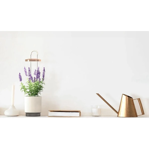Click-and-Grow-Smart-Garden-1-HydroVase-by-Ermonix-chytry-kvetinac-bily