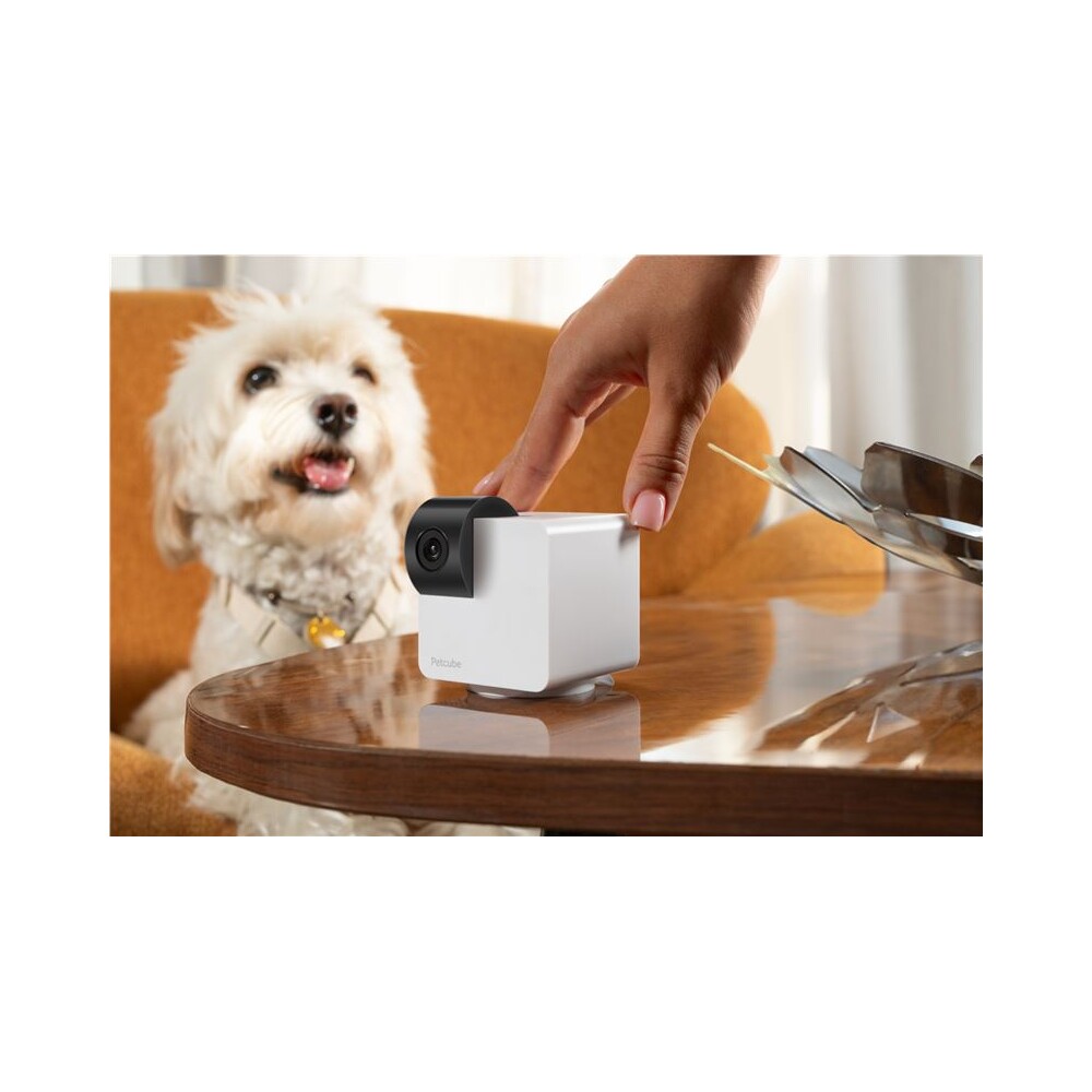 Petcube-Cam-360-bila-bezpecnostni-kamera-pro-domaci-mazlicky