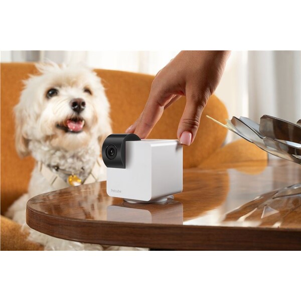 Petcube-Cam-360-bila-bezpecnostni-kamera-pro-domaci-mazlicky