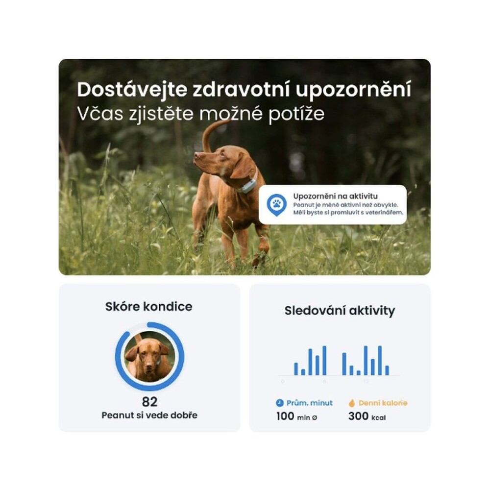Tractive-GPS-DOG-6-lokator-polohy-a-aktivity-pro-psy-matovy