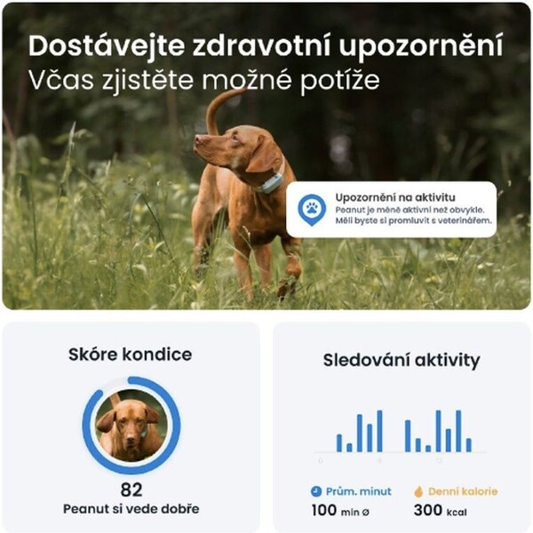 Tractive-GPS-DOG-6-lokator-polohy-a-aktivity-pro-psy-matovy