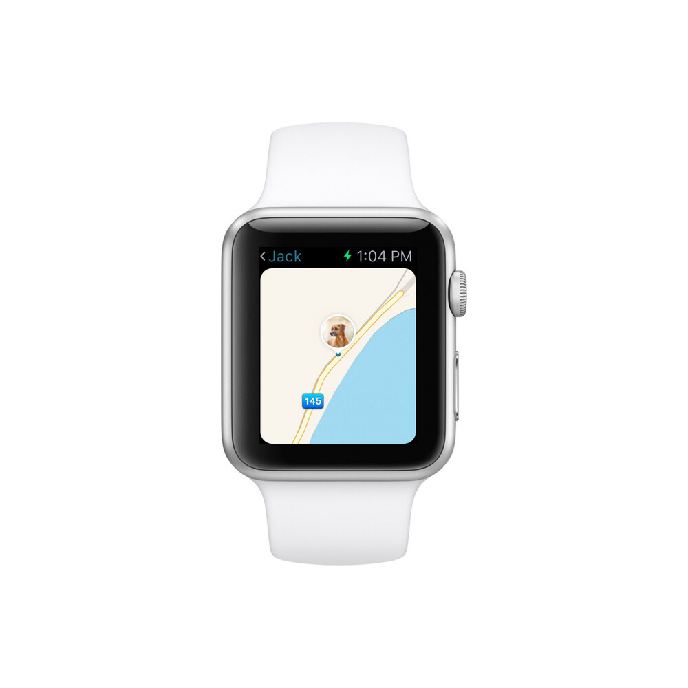 Tractive-GPS-Tracker-pro-domaci-mazlicky