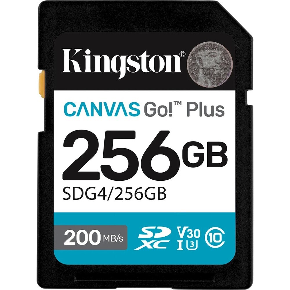 Kingston-Canvas-Go-Plus-SDXC-256GB