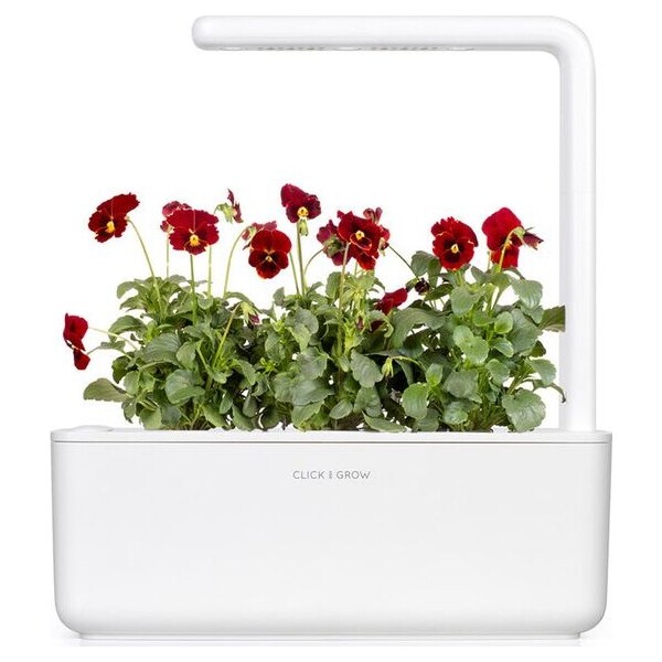 Click-and-Grow-Maceska-cervena-kapsle-se-seminky-a-substratem-3ks