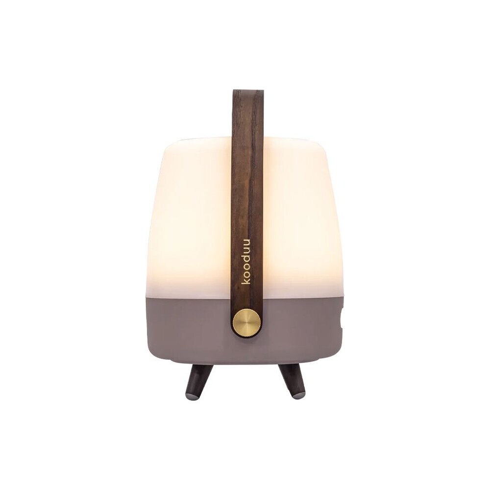 KOODUU-Lite-up-Play-Mini-JBL-bezdratovy-reproduktor-Earth