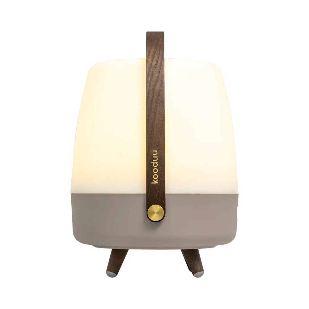KOODUU-Lite-up-Play-JBL-bezdratovy-reproduktor-Earth