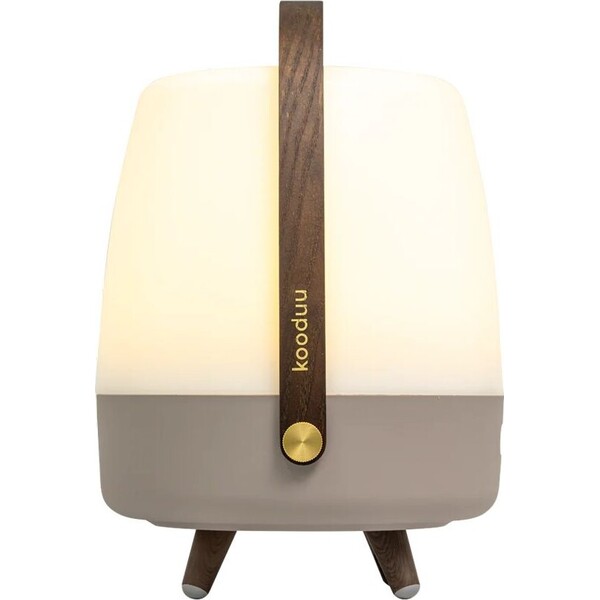 KOODUU-Lite-up-Play-JBL-bezdratovy-reproduktor-Earth