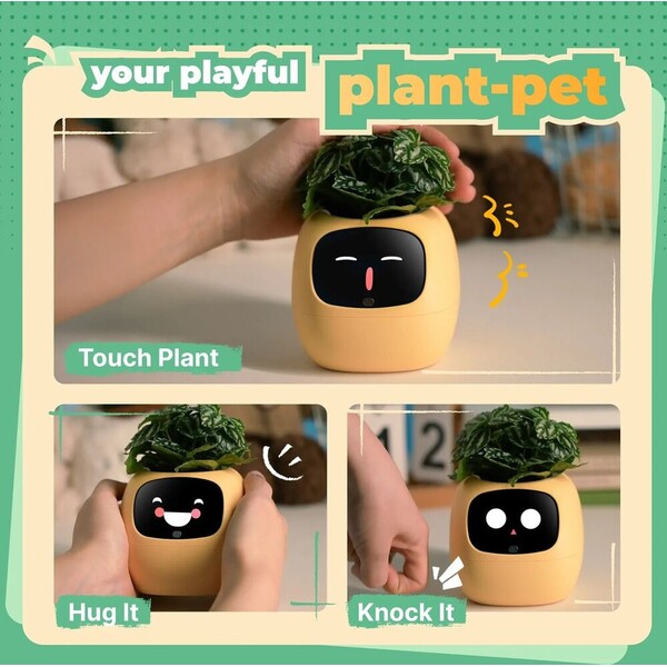 PLANTSIO-IVY-gen-2-Inteligentni-kvetinac-zluty