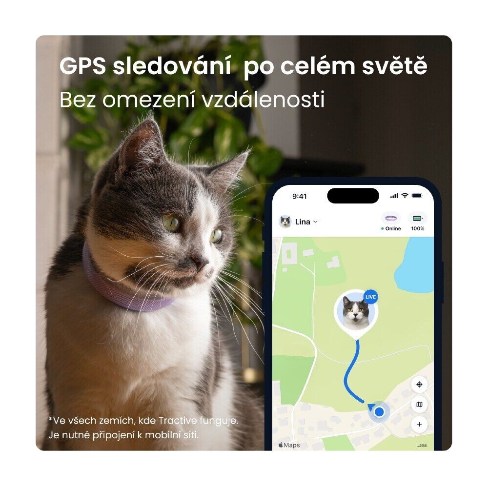 Tractive-CAT-6-Mini-chytry-GPS-lokator-pro-kocky-levandulovy