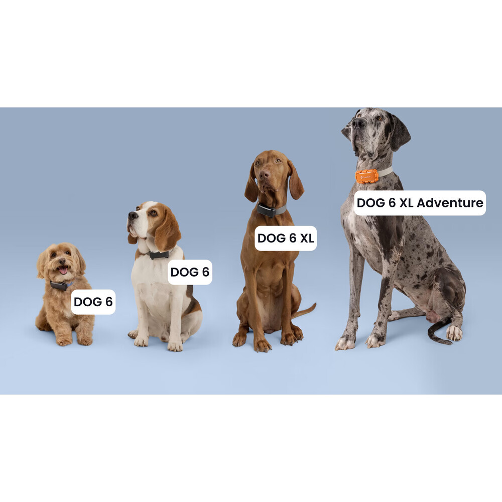 Tractive-DOG-6-XL-Adventure-Edition-lokator-pro-psy-oranzovy