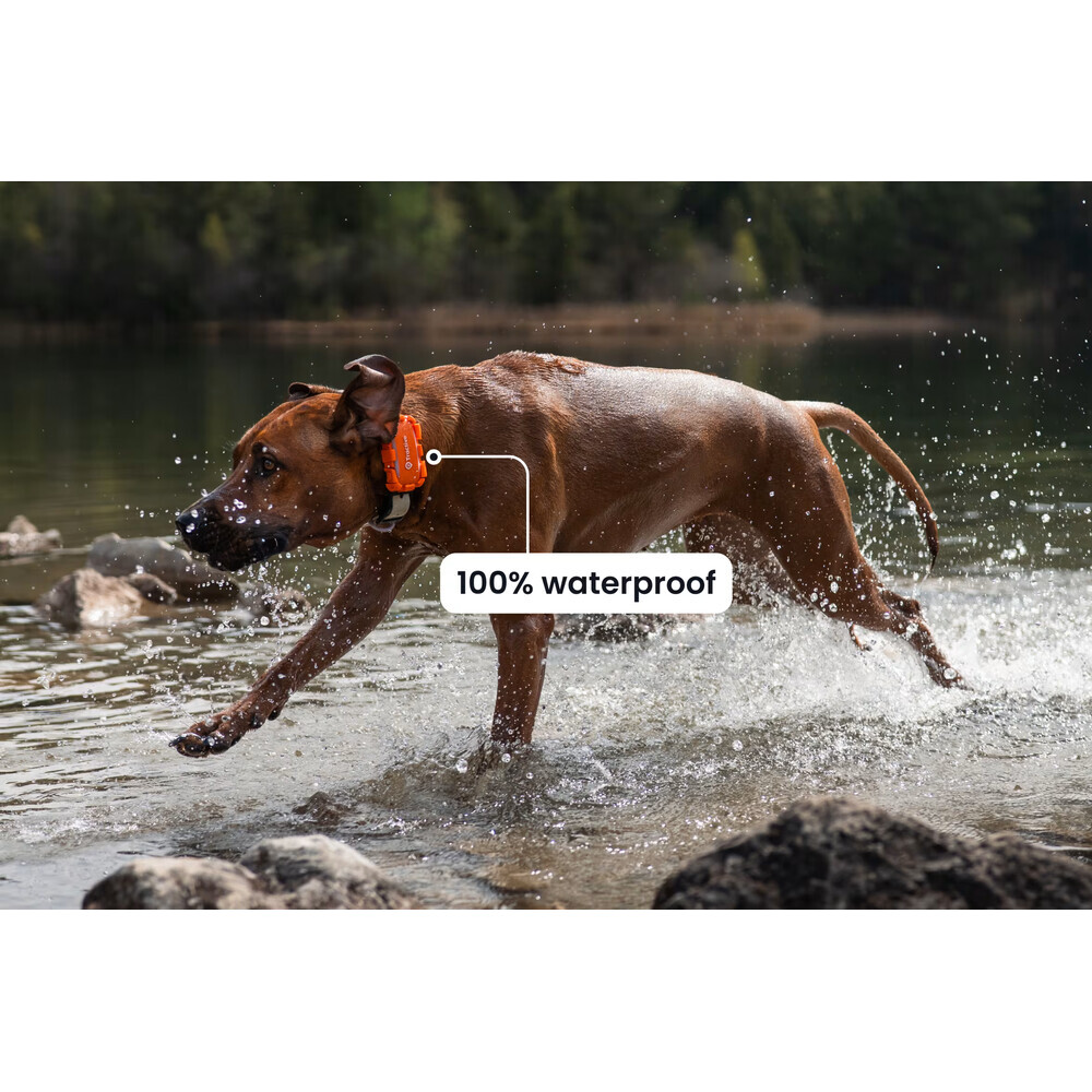 Tractive-DOG-6-XL-Adventure-Edition-lokator-pro-psy-oranzovy