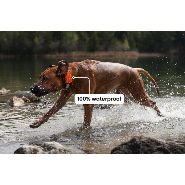 Tractive-DOG-6-XL-Adventure-Edition-lokator-pro-psy-oranzovy