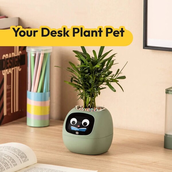 PLANTSIO-IVY-gen-2-Inteligentni-kvetinac-fialovy