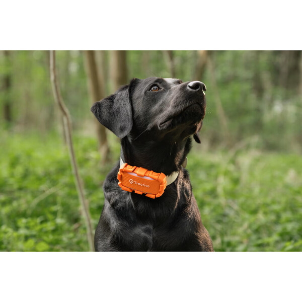 Tractive-DOG-6-XL-Adventure-Edition-lokator-pro-psy-oranzovy
