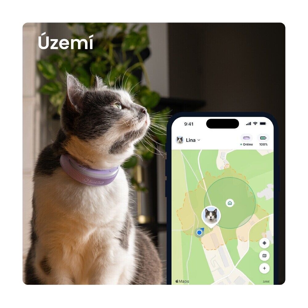 Tractive-CAT-6-Mini-chytry-GPS-lokator-pro-kocky-levandulovy