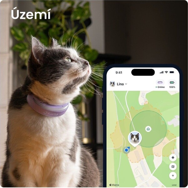 Tractive-CAT-6-Mini-chytry-GPS-lokator-pro-kocky-levandulovy