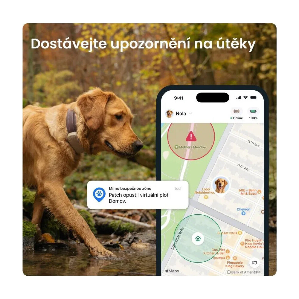 Tractive-DOG-6-XL-lokator-pro-psy-hnedy