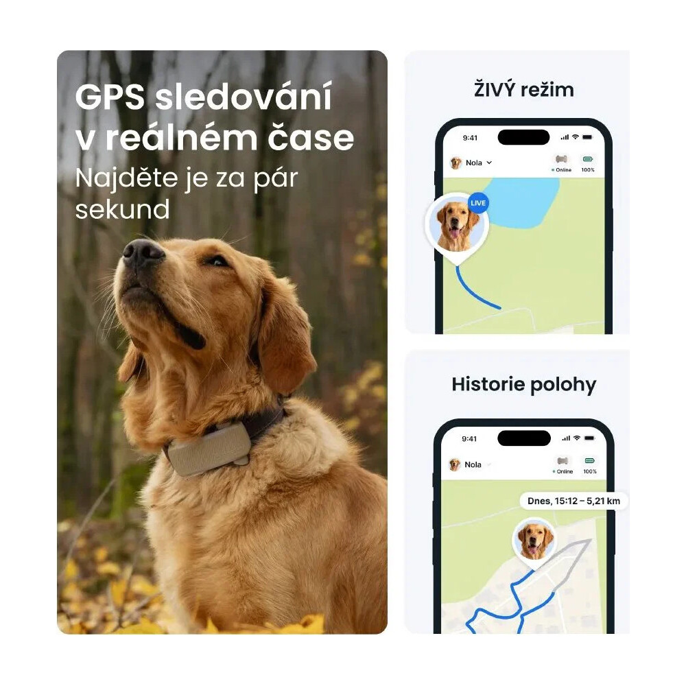 Tractive-DOG-6-XL-lokator-pro-psy-hnedy