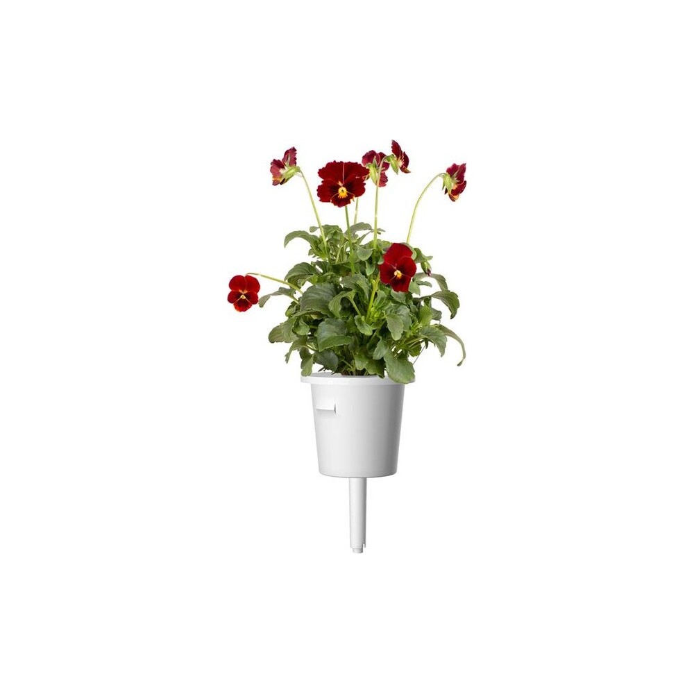 Click-and-Grow-Maceska-cervena-kapsle-se-seminky-a-substratem-3ks