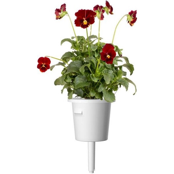 Click-and-Grow-Maceska-cervena-kapsle-se-seminky-a-substratem-3ks